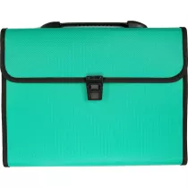 Titanum Teczka A4 z r�czk� 12 przegr�dek zielona