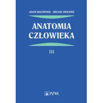 Anatomia cz�owieka. Tom 3