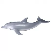 Delfin but�onosy