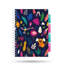 CoolPack Ko�ozeszyt A5 PP Lady Color kratka 100 kartek