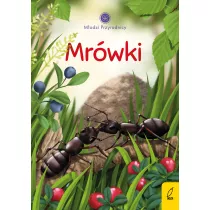 Mrwki. Modzi Przyrodnicy