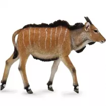 Antylopa Eland ciel