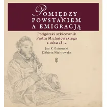 Pomi�dzy powstaniem a emigracj�