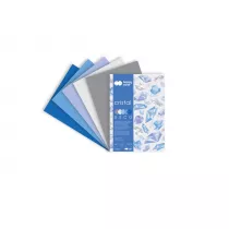 Happy Color Blok Deco Cristal, 5 kolorw, A4, 170g, 20 arkuszy 170 g 20 kartek