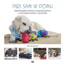 Pies sam w domu. Zapobieganie lkowi...