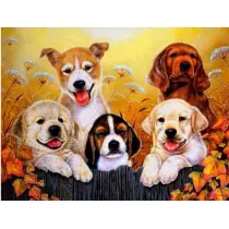 Norimpex Diamentowa mozaika - Pieski 30x40cm