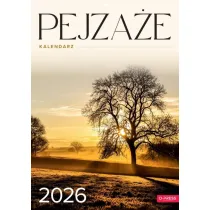 Kalendarz 2026 A4 Wieloplanszowy Pejzae