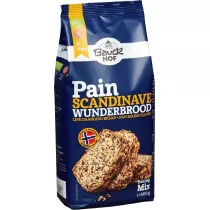 Bauck Hof Mieszanka do pieczenia chleba z mki owsianej penoziarnistej z dodatkiem patkw owsianych i nasion bezglutenowa 600 g Bio