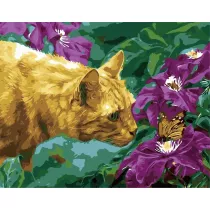Hobby-maniak.pl Malowanie po numerach - Poznajmy si� 40x50cm