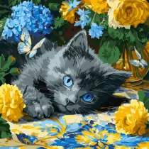 Ideyka Malowanie po numerach - B��kitnookie koci� 40x40cm