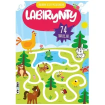 Labirynty. Kolorowy zeszyt przedszkolaka