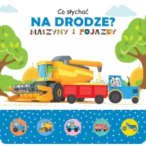 Co sycha na drodze? Maszyny i pojazdy