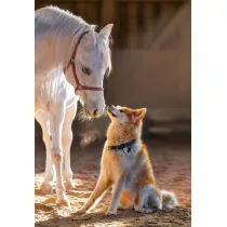 Puzzle 1000 el. Unique Friendship Castorland
