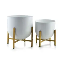 Mondex Komplet 2 osonek Boule Gold White