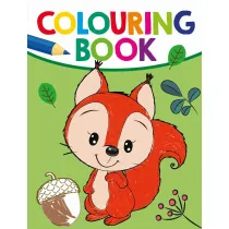 Colouring Book Lisek