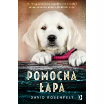 Pomocna apa