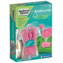 Anatomia zestaw kreatywny Clementoni