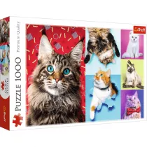 Puzzle 1000 el. Wesoe koty Trefl