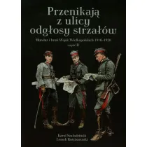 Przenikaj� z ulicy odg�osy strza��w
