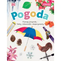 Pogoda