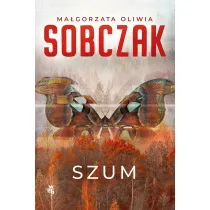 Granice ryzyka. Szum