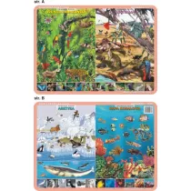 Visual System Podkadka edukacyjna. Zwierzta Amazonii