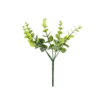 Eukaliptus 27cm