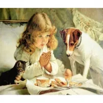 Norimpex Diamentowa mozaika - Dziewczynka modlca si przed posikiem z psem i kotkiem 1005256 30x40cm
