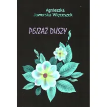 Pejza� duszy
