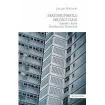 Ska�one �wiat�o mi�o�ci i �alu. Zapiski o filmie `Synekdocha, Nowy Jork`