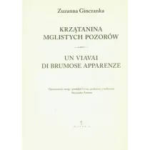 Krz�tanina mglistych pozor�w