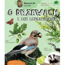 Wojciech Gil opowiada o drzewach i ich mieszkacach