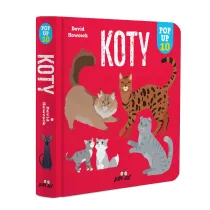 Koty. POP-UP 10