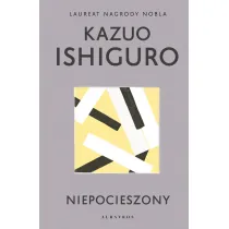 Niepocieszony