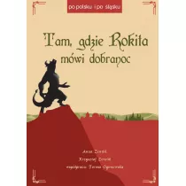 Tam, gdzie Rokita mwi dobranoc