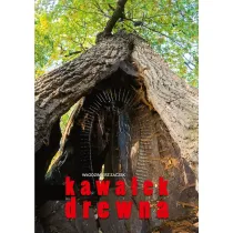 Kawa�ek drewna