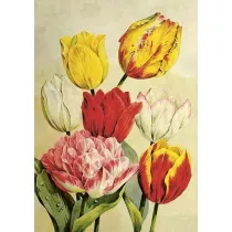 Karnet ST508 B6 + koperta Tulipany