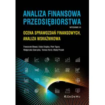Analiza finansowa przedsi�biorstwa