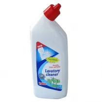 Yplon Pyn do czyszczenia WC 1 l