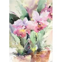 DaVinci Karnet B-BJ 202 388 + koperta R�owa r�a 12x18 cm