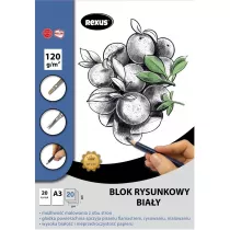 Beniamin Blok rysunkowy A3/20K biay Premium