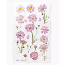 Appree Naklejki ozdobne kwiaty Kosmos Aster