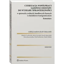 Cyfryzacja wsp�pracy s�dowej i dost�pu do wymiaru sprawiedliwo�ci w sprawach cywilnych, handlowych