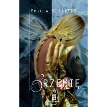 Brzemi�