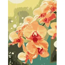 Ideyka Malowanie po numerach - Orchidea w kroplach 30x40cm