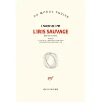 Iris sauvage