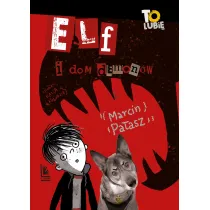 Elf i dom demon�w