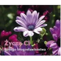 �ycz� Ci Bo�ego b�ogos�awie�stwa. Pere�ka 215