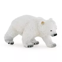 Nied�wied� polarny m�ody