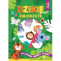 MALOWANKA A4 DZIKIE ZWIERZETA NAKL AWM